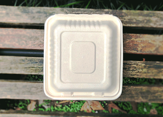 泰国工厂大量现货供应：纸浆模塑餐具: 8寸锁盒 型号2