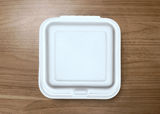 泰国工厂大量现货供应：纸浆模塑餐具; 6英寸盒子